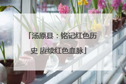 汤原县：铭记红色历史 赓续红色血脉